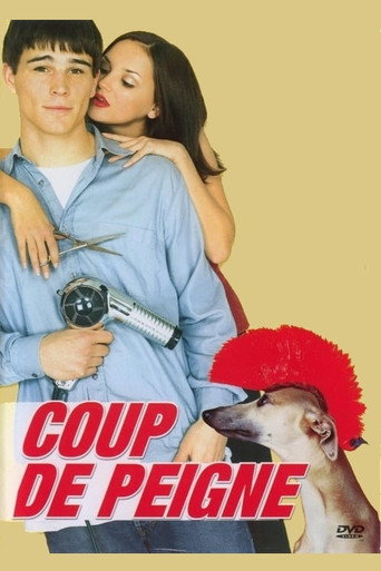 Regarder Coup de peigne en streaming complet