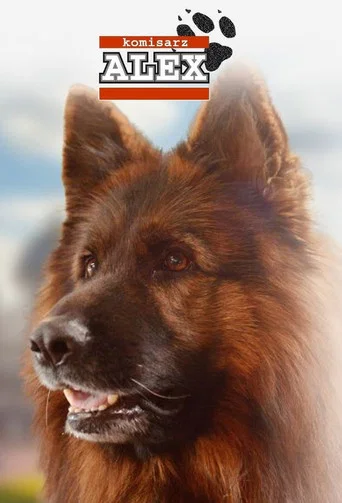 Regarder Komisarz Alex - Saison 1 en streaming complet